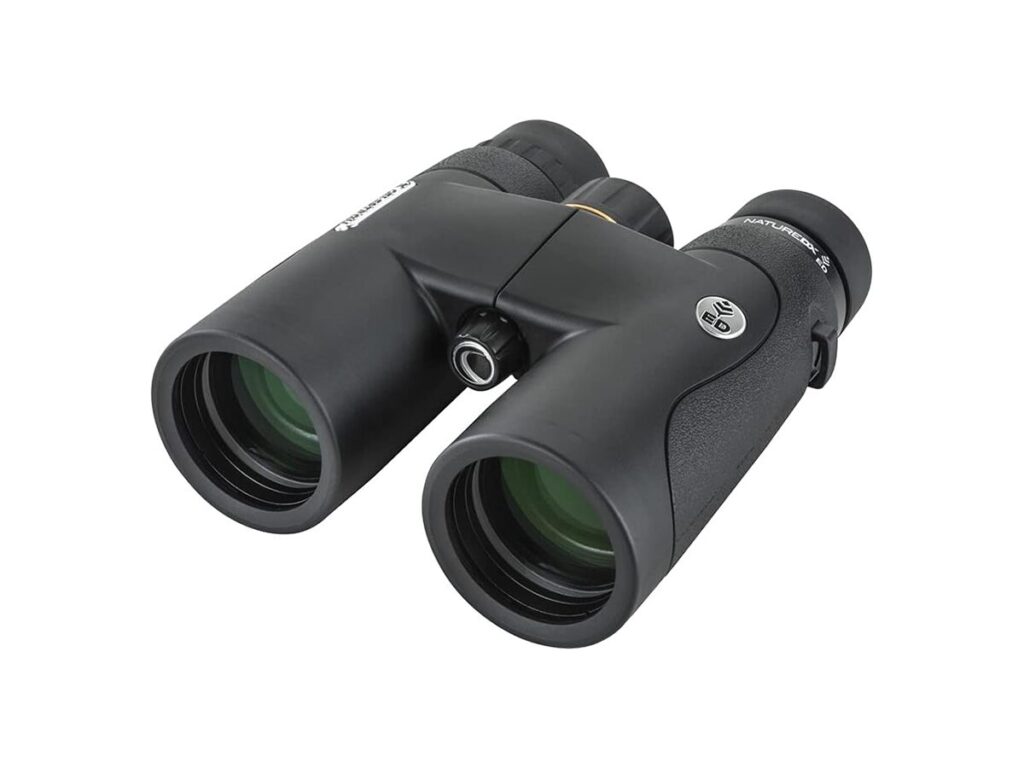 Best Hunting Binoculars