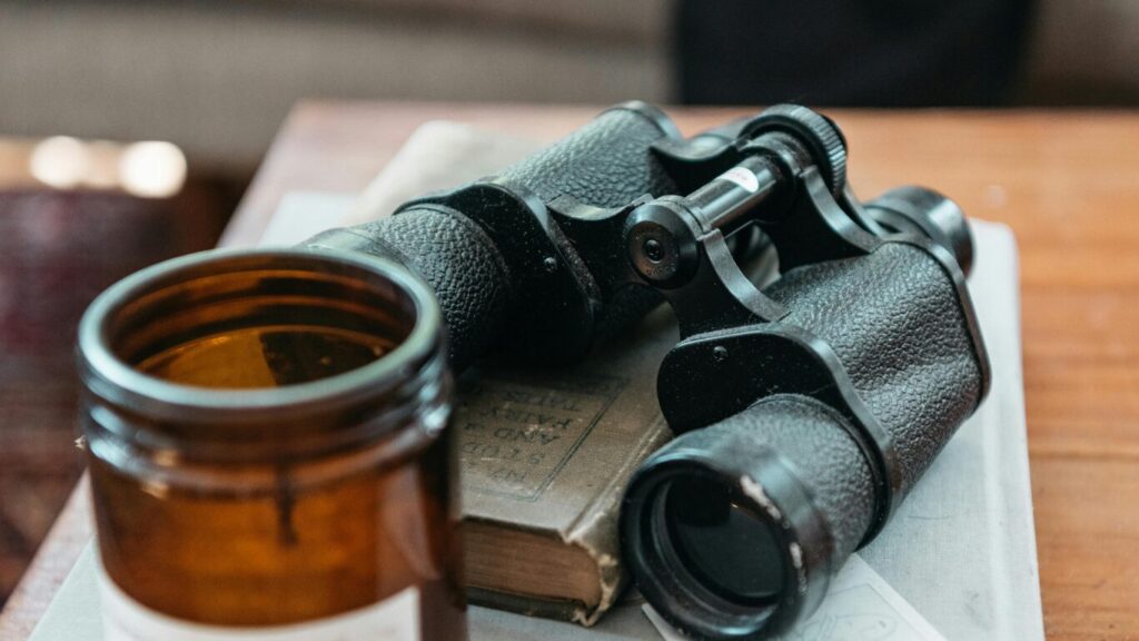 Best Hunting Binoculars