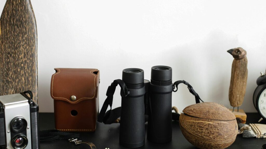 Best Hunting Binoculars