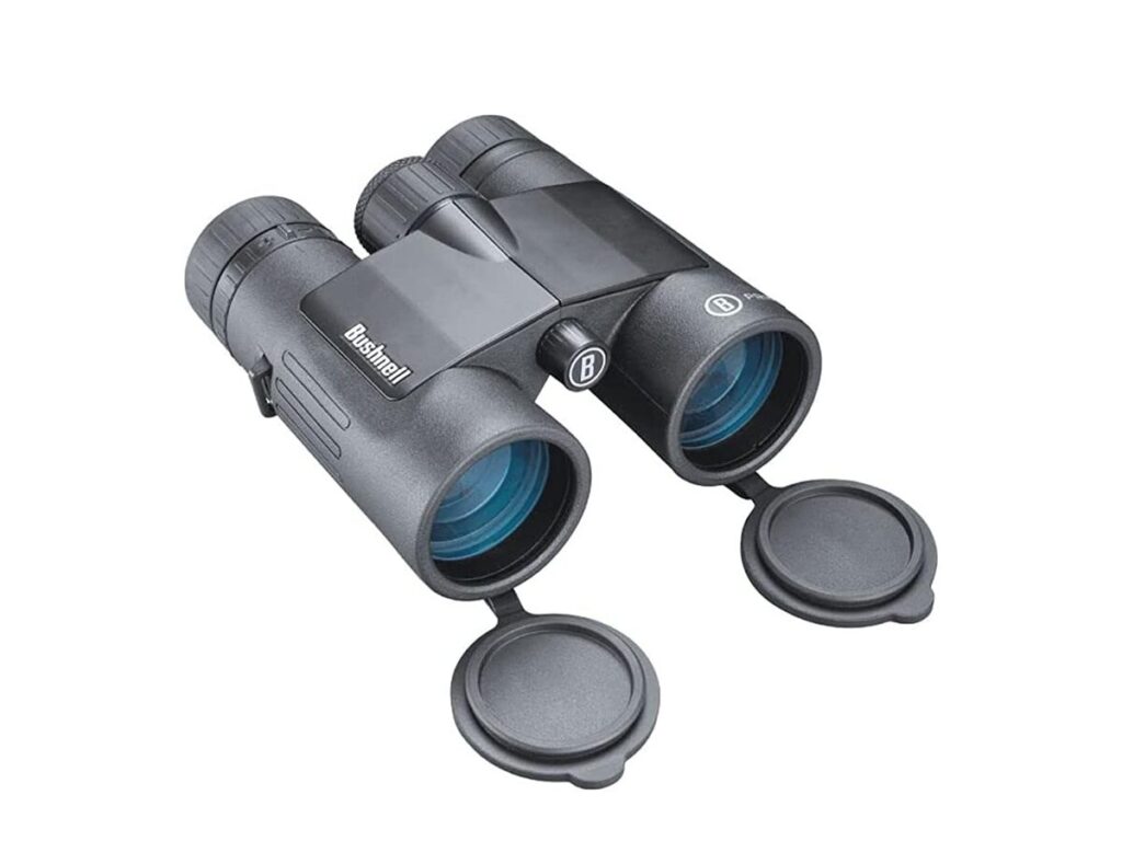 Best Hunting Binoculars