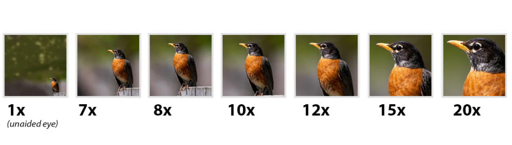 Tips For Choosing Long-Range Binoculars For Hunting: Magnification Power