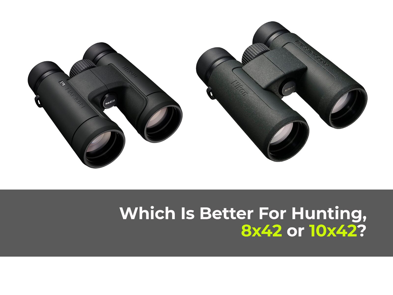 8x42 vs. 10x42 Binoculars