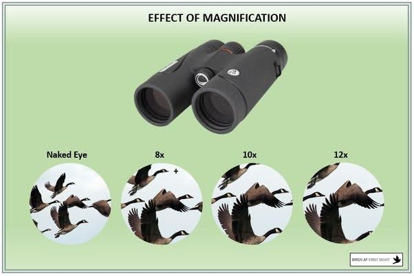 THINGS TO LOOK FOR IN A HUNTING BINOCULAR: MAGNIFICATION