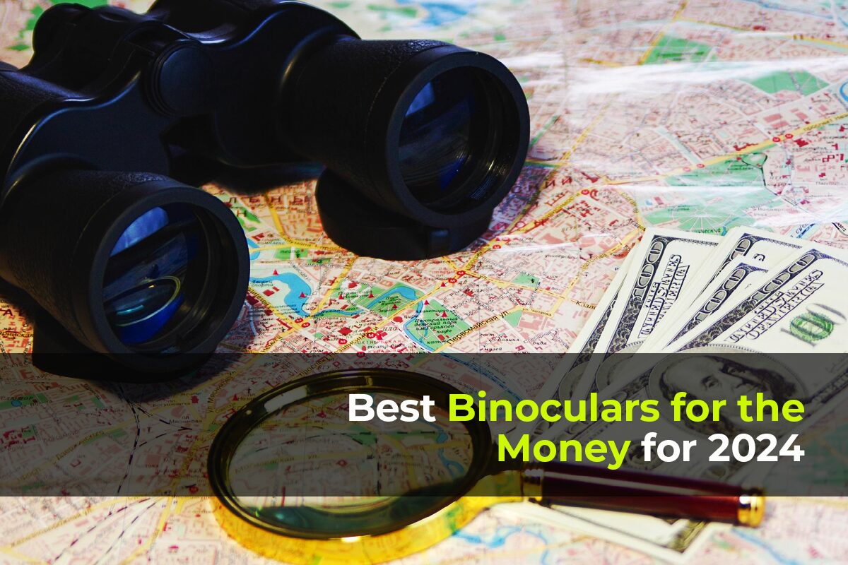 best binoculars for the money