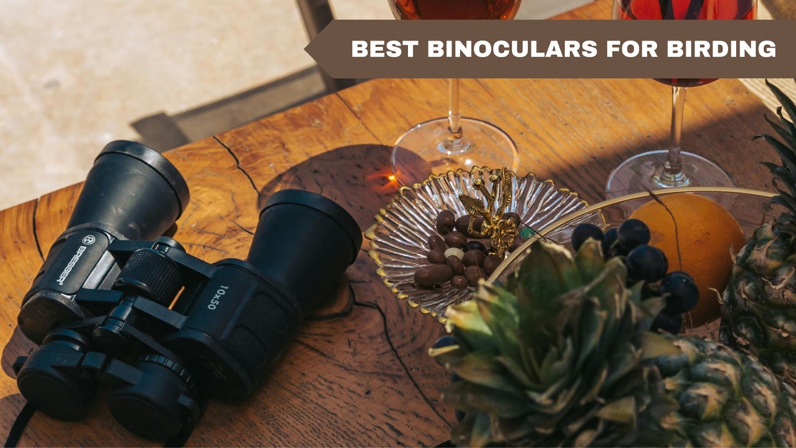 Best Binoculars for Birding